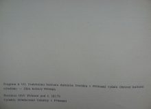 program_cast_29