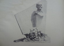 program_cast_02