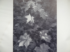program_14