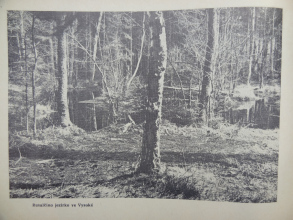 program_16