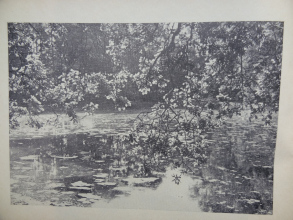 program_20