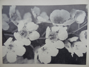 program_22