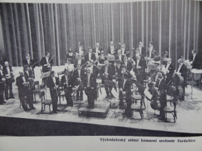 program_cast_19