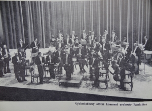 program_cast_19