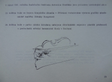 program_cast_24