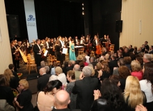 IMG_1113-1024x683